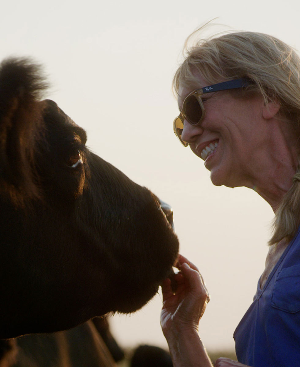 Woman with blonde hair and Ray-Ban sunglasses smiling at a Black Angus cow while lightly touching its nose