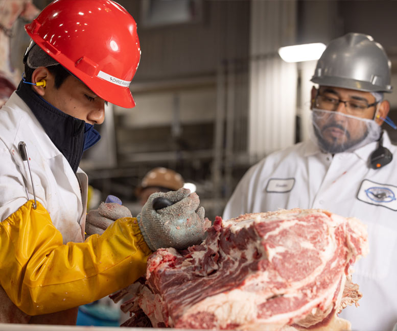 Meat processors cutting meat in lab coats